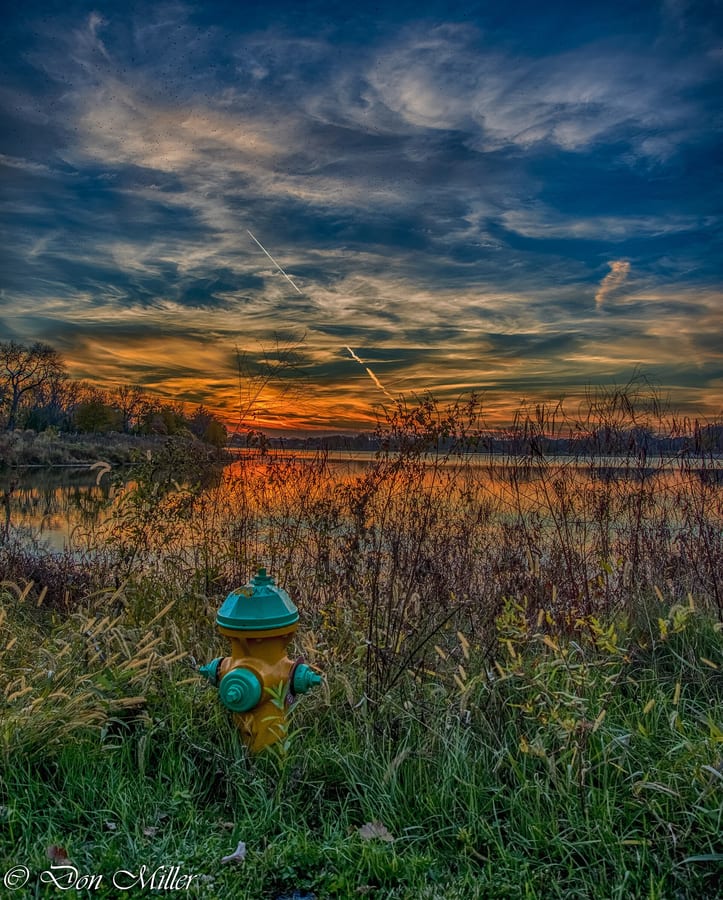 Gray's Lake Park
