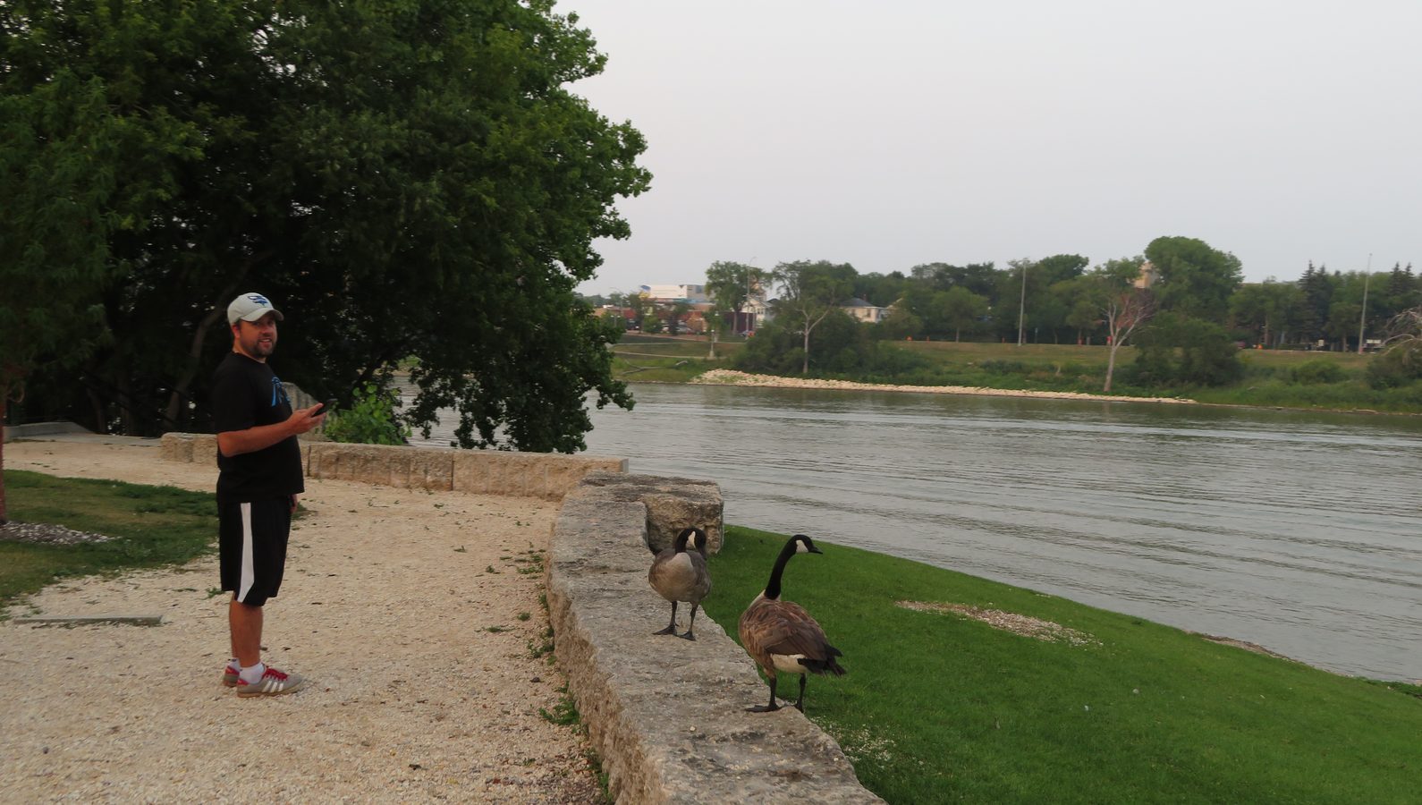 The Forks