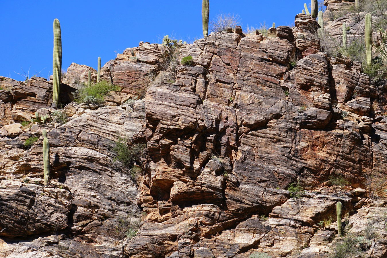 Sabino Canyon Recreation Area