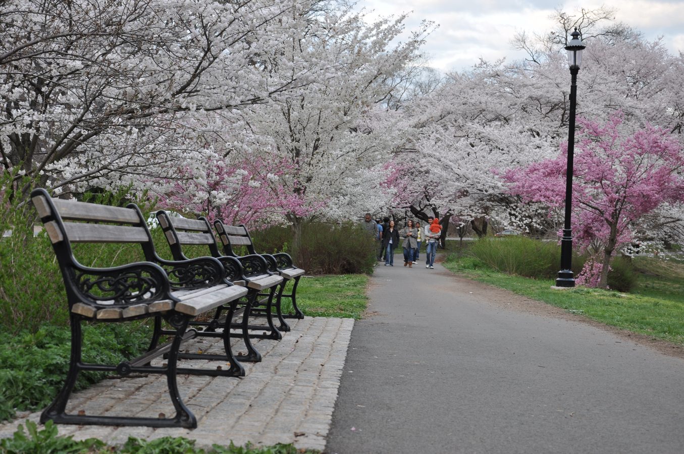 Branch Brook Park