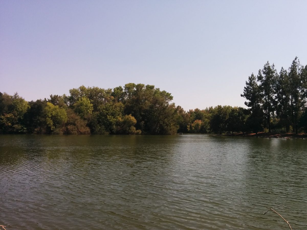 Woodward Park